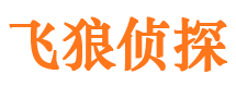 朝阳区婚外情调查取证